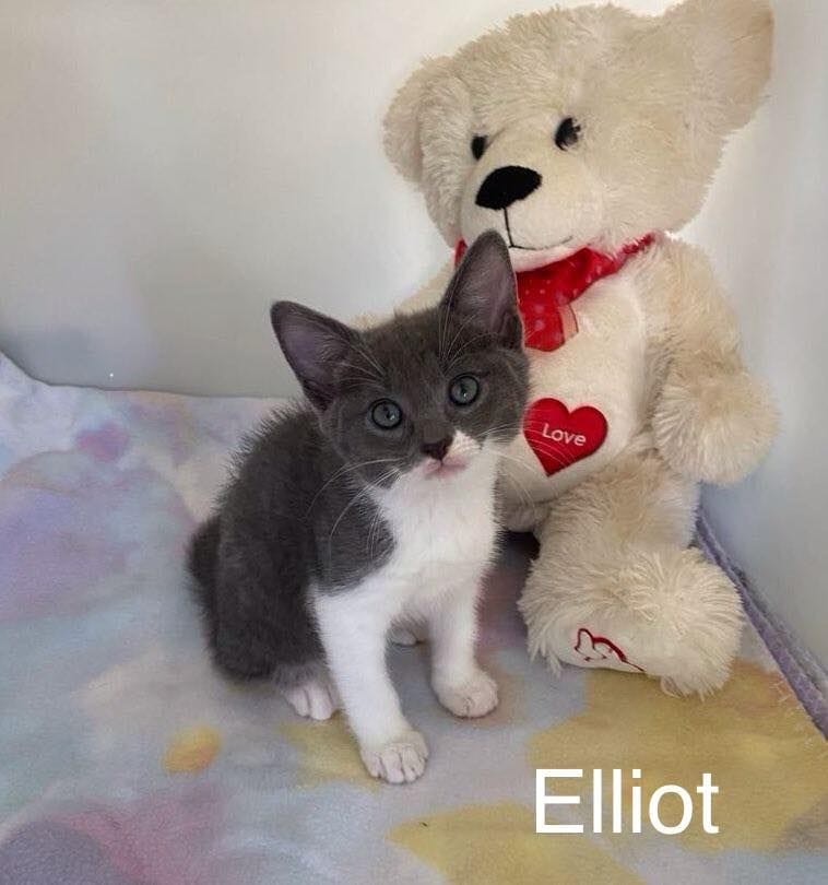 Elliot Elliot